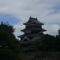タケコプターは危険 知的日記 タケコプターは危険 知的日記