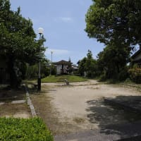 ❾花しょうぶの彩りを楽しむ油ヶ淵の水辺と応仁寺　ゴール