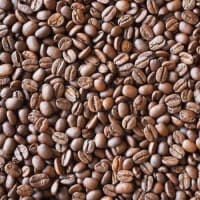 コーヒー豆の一番美味しい飲みごろはいつ？