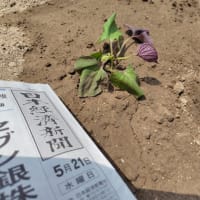 5月21日