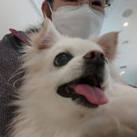 彩り会・・・