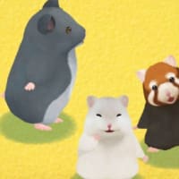 久しぶりの投稿、久しぶりのハム里の写真。