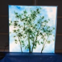 LEDパネル：自ら発光する木漏れ日
