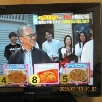 2025年版　飯田市関連情報