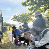23日　沖縄県民がこぼした怒りと不安 戦後80年の「慰霊の日」…米軍基地問題も戦争の影も、暮らしの中にあって