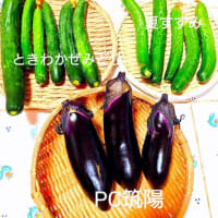 盛大にきゅうりの食べ比べ