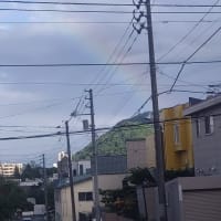 虹です