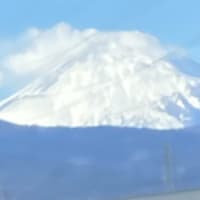 下肢静脈瘤