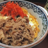 丼（松屋／てんや／たつ屋）（2025年7月）