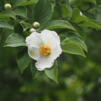 💖ブログ引っ越し完了💖
