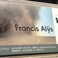 フランシス・アリス展 / 東京都現代美術館