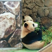 🐼さよならパンダ
