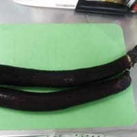 急げ冷蔵庫処理