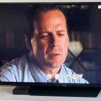 せらふじ園　＆　「シックスセンス」を観たよ