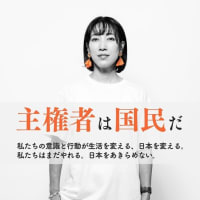 【緊急報道】FBIが主流メディアのピザゲート隠蔽に関与したペドネットワークを摘発！！
