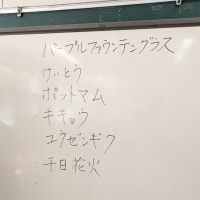 寄せ植え講座とひまわり畑・・・