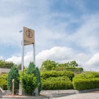 三景園　花まつり　1万株のアジサイを堪能しました　広島県三原市本郷町 広島空港隣地