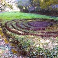 ２０２４・１１・１２　黒川里山アートプロジェクト・緑と道の美術展in黒川2024。村田優大。奥野美果。間地紀以子。四家真理子。司香奈。