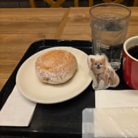 ミスドのもっちゅりん！