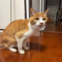 今日のお病院