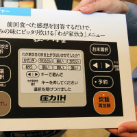 小論文は型で勝つ Byテストの花道 North East West South News を見て