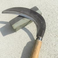 梅雨明け　森林整備作業