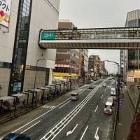 旬の穴子を味わう （京都 御室 左近）,梅雨時期に新感覚靴下（Tabio）そして 自家製デトックスウォーター　〜♪