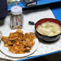 「ある日のランチ ご飯物×5食分。」