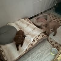1週間の仕事が無事終了致しました～！！