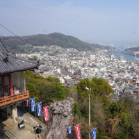 勇の｢歌行脚｣　足跡を辿る㉓　千光寺