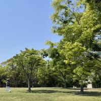 いつもの場所 ＆ ただいまブログ引っ越し中