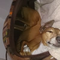 眠いzzz