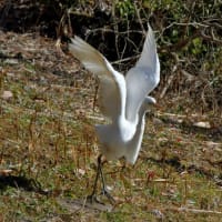 隣町の公園　YTYM