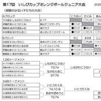 第17回いしびカップオレンジボール大会結果(3462)