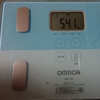 ダイエット349日目