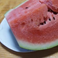 アユの遡上