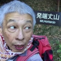 まさに虎さん３連発、何じゃそれ？