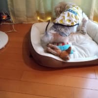 寝がえり？