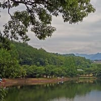 皐月の山上湖風情 その　3