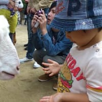 東山動物園