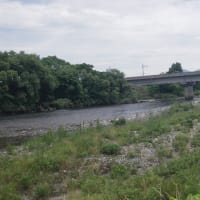 6月末の解禁日前に23日と25日に北越三面川の河川状態川見ですよー❕何とか期待したいねー❕❓