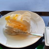 今日のおでかけ