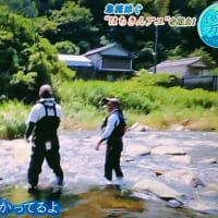 【初夏の風物詩】【鮎】【鮎の友釣り】【思い出】【釣り】【宝物】