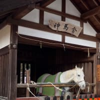 京都散策日記　賀茂別雷神社・賀茂御祖神社・旧三井家下鴨別邸