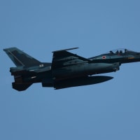 【6/28更新】ヨーロッパ各国の空軍機の来日(パシフィック・スカイズ24)