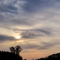 朝空