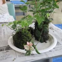 苔玉作り教室