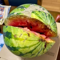 西瓜、すいか、スイカ・・・2025年7月
