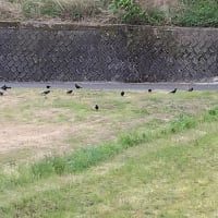朝ドラに元気をもらう