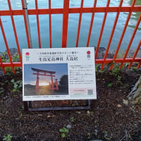 本日は神様に呼ばれて信州・牛島足島神社(うしじまたるしまじんじゃ)へ。おみくじは87番大吉。神木に神様が。